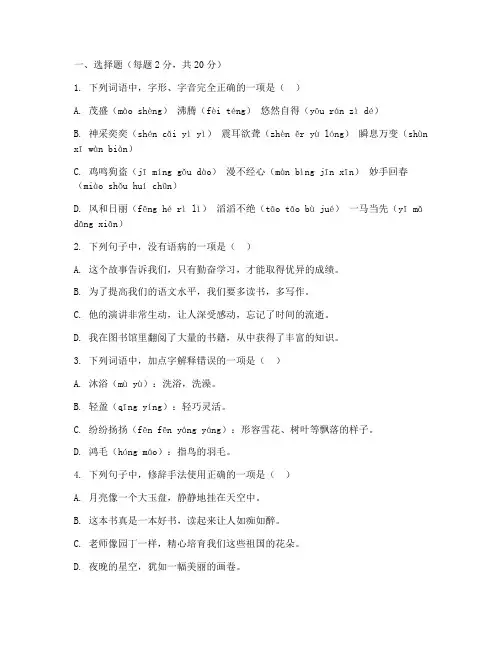 语文期末考试试卷的答题卡