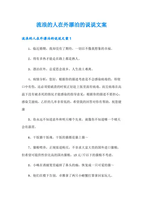 流浪的人在外漂泊的说说文案