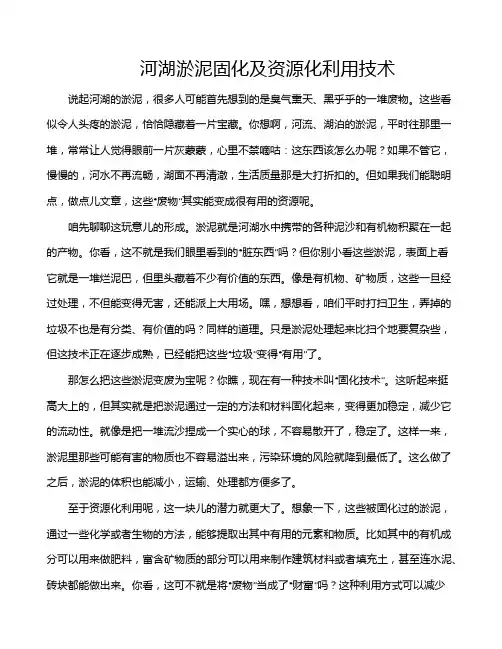 河湖淤泥固化及资源化利用技术