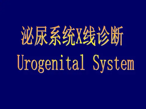 泌尿系统的X线诊断课件