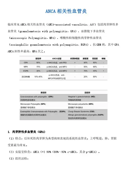 ANCA相关性血管炎