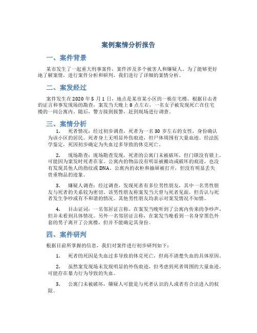案例案情分析报告
