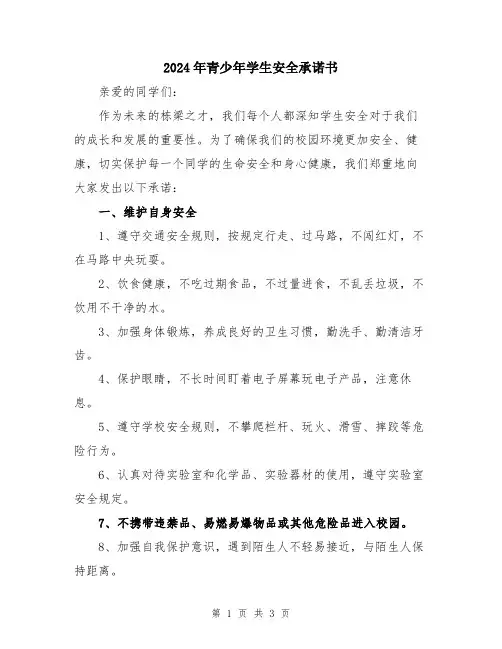 2024年青少年学生安全承诺书