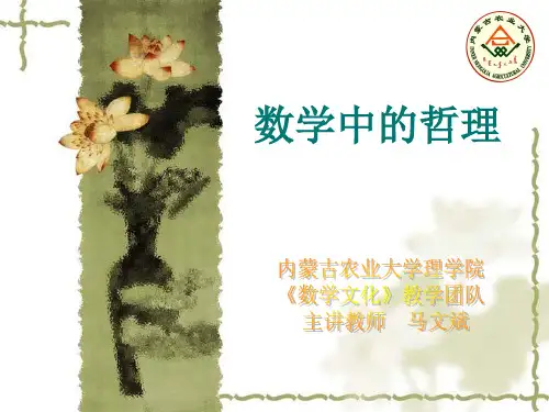 数学中的哲理.