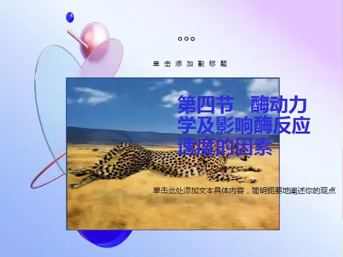 酶动力学及影响酶反应速度的因素