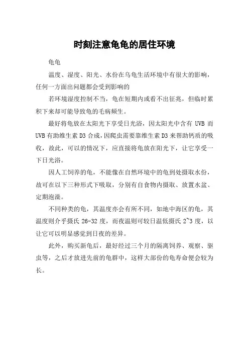 时刻注意龟龟的居住环境