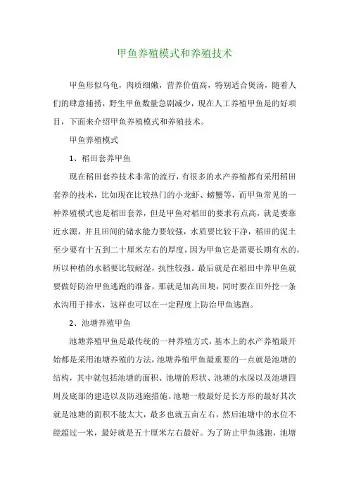 甲鱼养殖模式和养殖技术