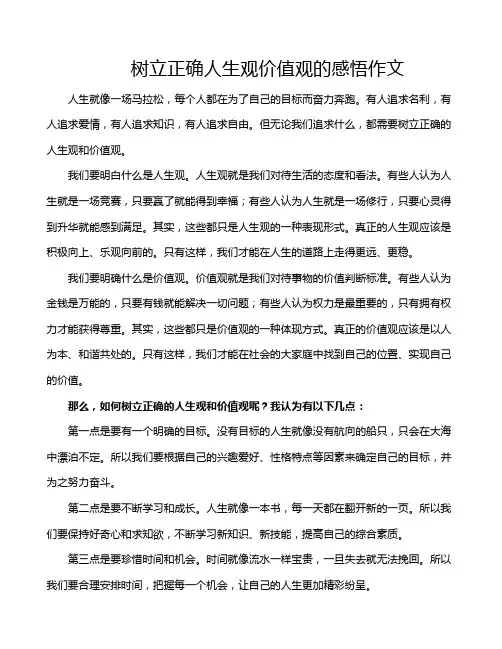树立正确人生观价值观的感悟作文