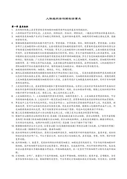 人体组织学与解剖学重点