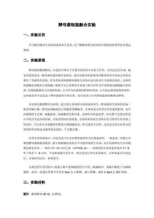 酵母菌细胞融合-实验操作
