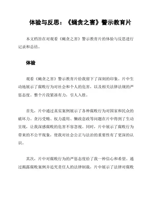 体验与反思：《蝇贪之害》警示教育片