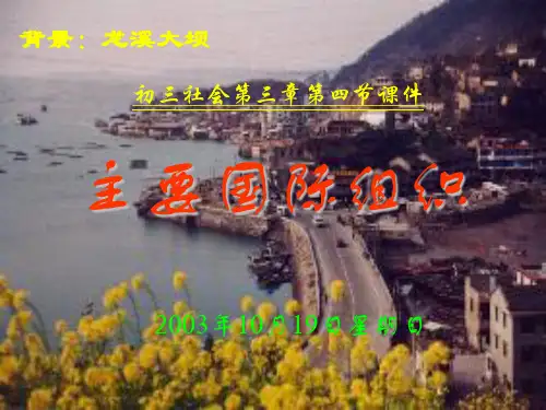 主要国际组织精品PPT教学课件