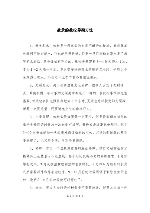 盆景的盆松养殖方法