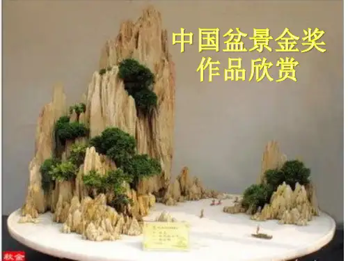 中国盆景金奖欣赏