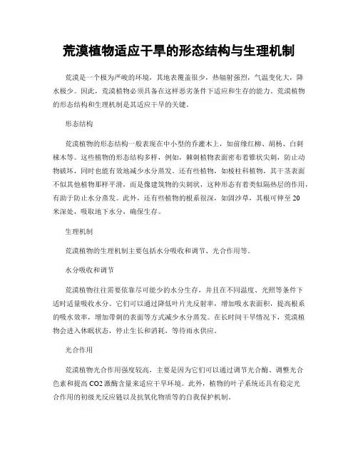 荒漠植物适应干旱的形态结构与生理机制