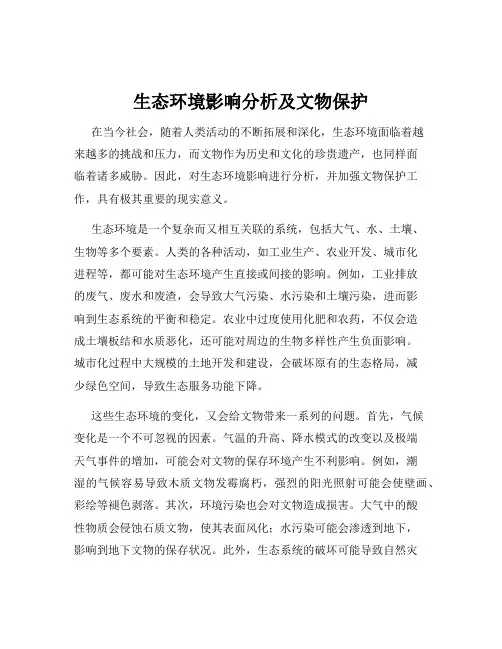 生态环境影响分析及文物保护