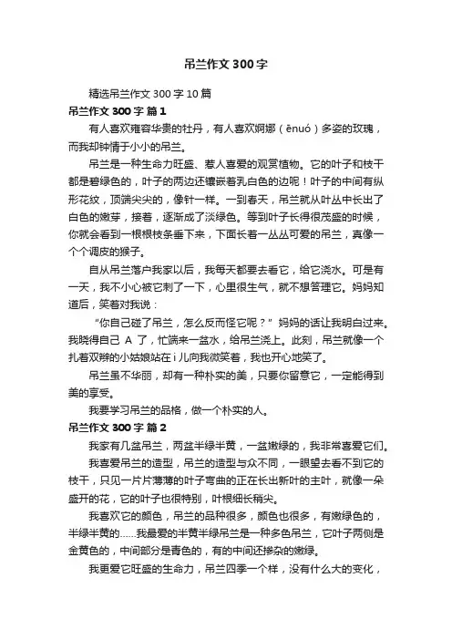 精选吊兰作文300字10篇