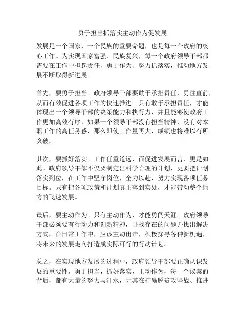 勇于担当抓落实主动作为促发展