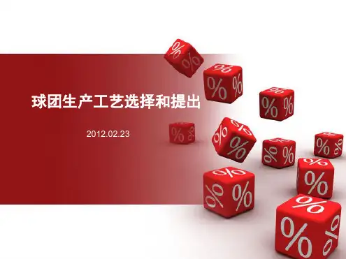 球团矿生产工艺选择提出