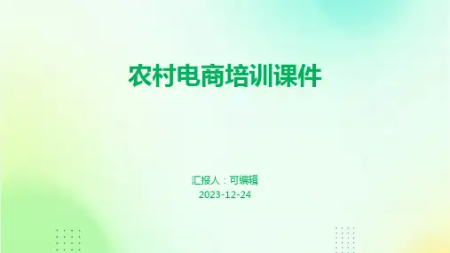 农村电商培训课件ppt)