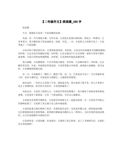 【二年级作文】流浪猫_450字