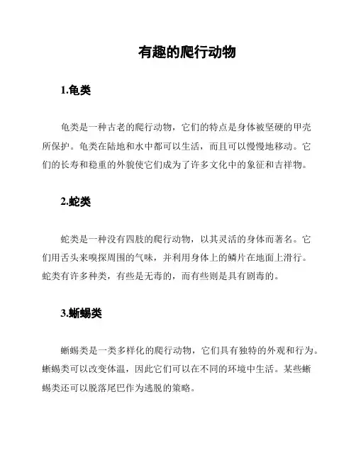 有趣的爬行动物