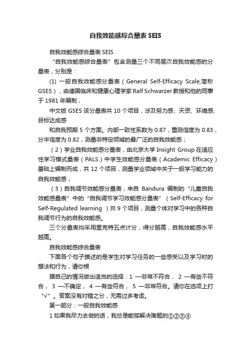 自我效能感综合量表SEIS