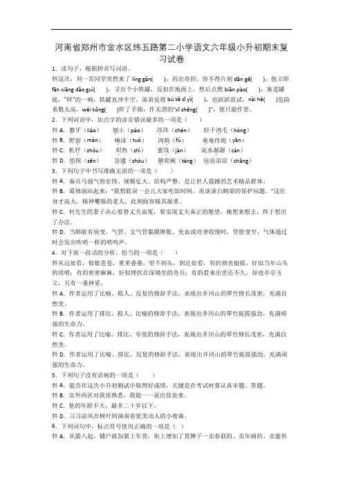 河南省郑州市金水区纬五路第二小学语文六年级小升初期末复习试卷