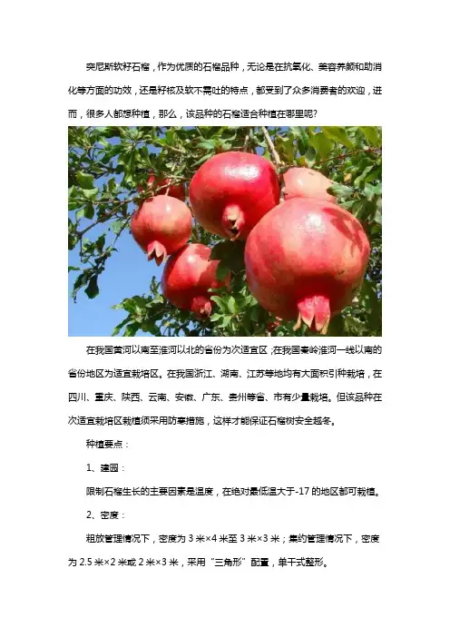 突尼斯石榴的种植要点