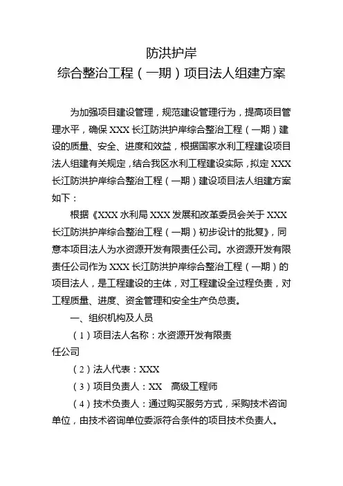 项目法人组建方案