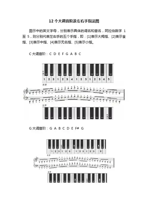 12个大调音阶及左右手指法图