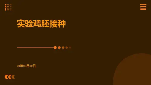 实验鸡胚接种