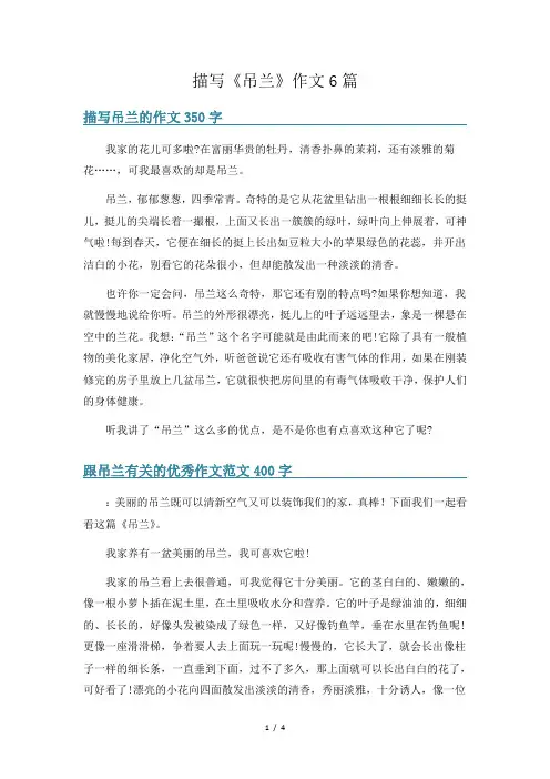 描写《吊兰》作文6篇