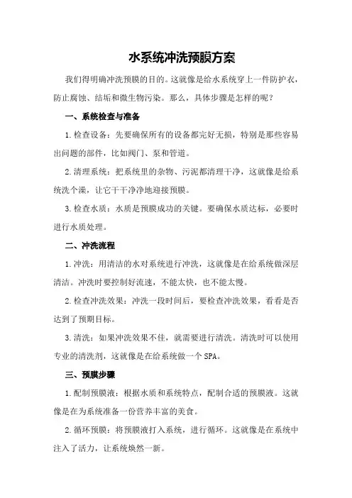 水系统冲洗预膜方案