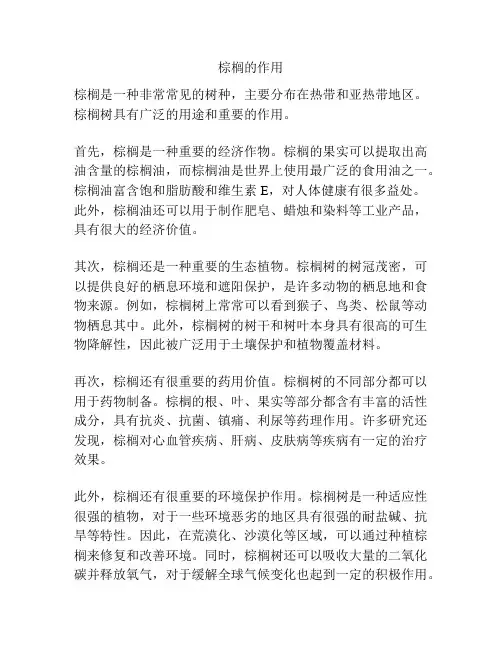 棕榈的作用