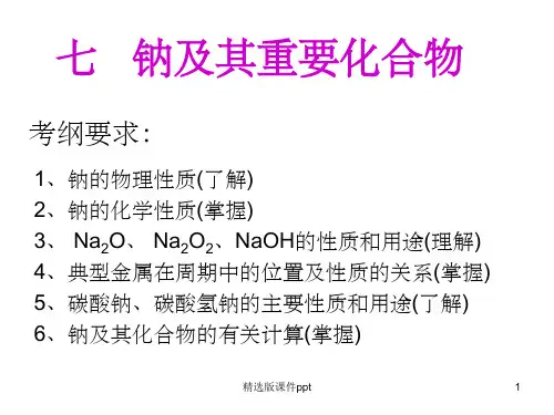 钠及其化合物PPT