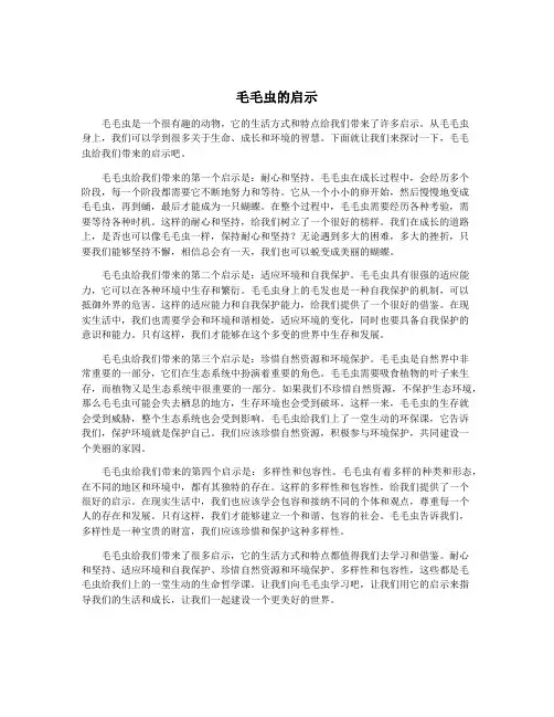毛毛虫的启示
