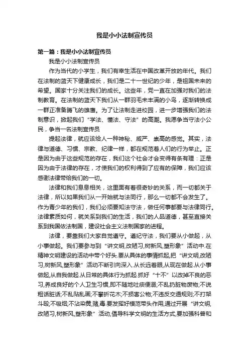 我是小小法制宣传员