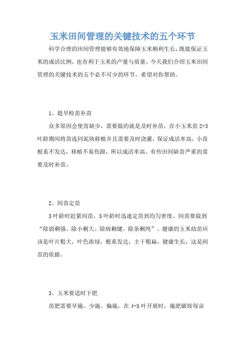玉米田间管理的关键技术的五个环节