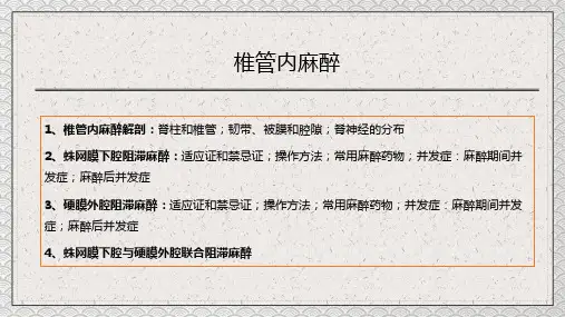医疗教学之椎管内麻醉讲课PPT课件