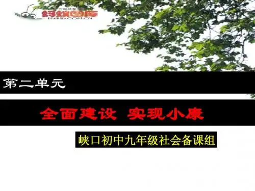 2.1逐步实现共同富裕1