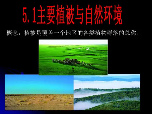 湘教版(2019)必修一地理5.1--主要植被与自然环境(共23张PPT)
