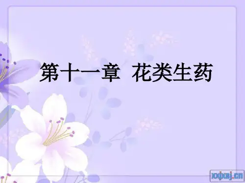 第十一章 花类生药