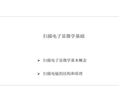 文档扫描电子显微学基础演示文档