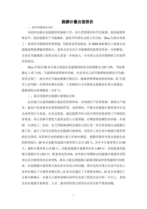 最新能源计量自查报告