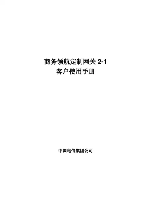 商务领航定制网关2-1客户使用手册 Raisecom V1.0  201102