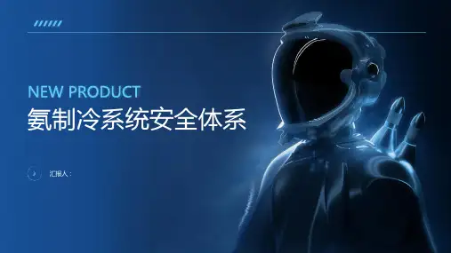 氨制冷系统安全体系