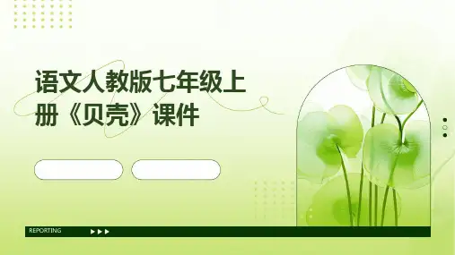 语文人教版七年级上册《贝壳》课件