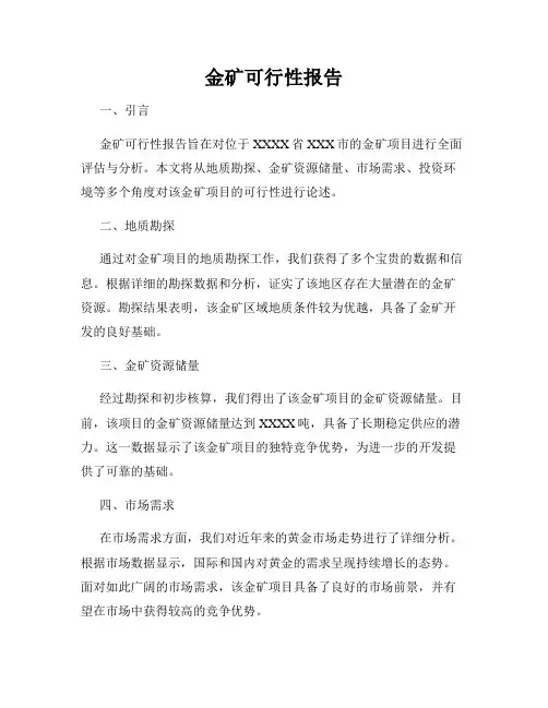 金矿可行性报告
