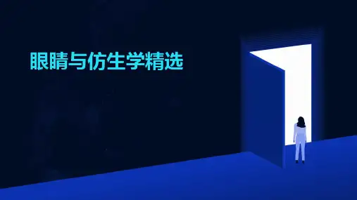 眼睛与仿生学精选